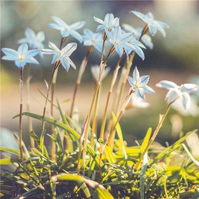 leyu·乐鱼(中国)体育